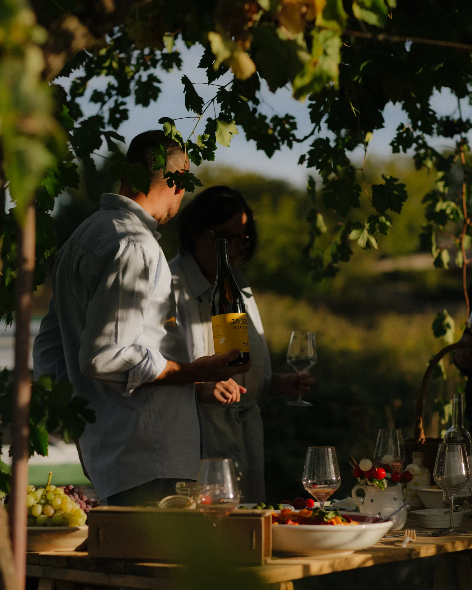 Vigneto + Cantina MIR — il pic nic sotto il pergolato del vigneto